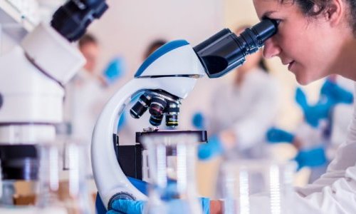 Exsymol to explore new research prospects on adipose tissue