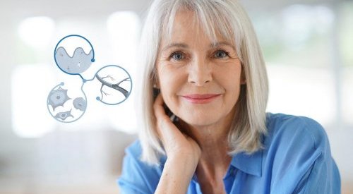 Silab reconnects aged fibroblasts to help regenerate mature skin