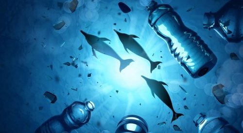 La pollution plastique des océans surestimée, mais toujours préoccupante