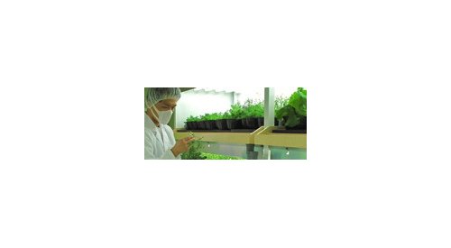 Shiseido wants to grow its own botanical raw materials
