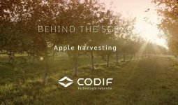 Codif's Regetaste up-cycling collection makes your skin sing