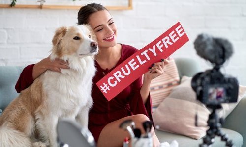 Ban meaningless say NGOs as EU Court rejects appeal to avoid animal testing